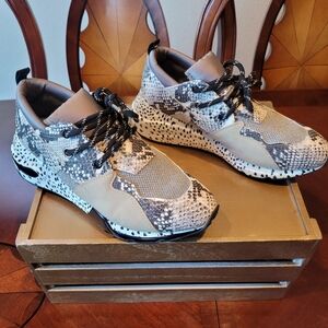 Steve Madden Sneakers (Sneakers Only)